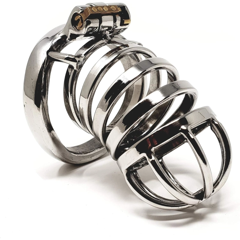 Hidden Desire Extreme Chastity Cock Cage Metal